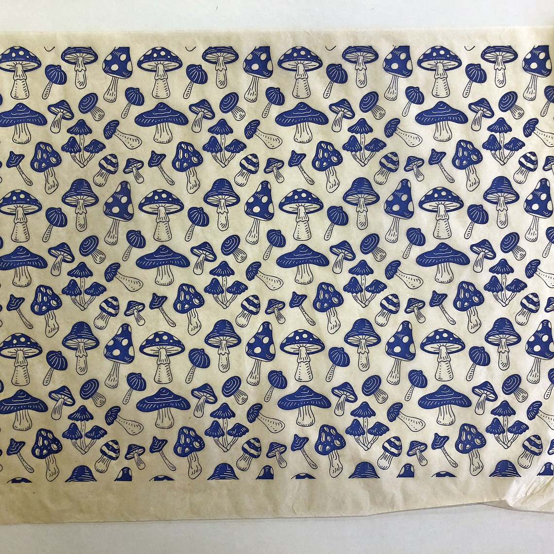 Decalque de underglaze (s23) 1