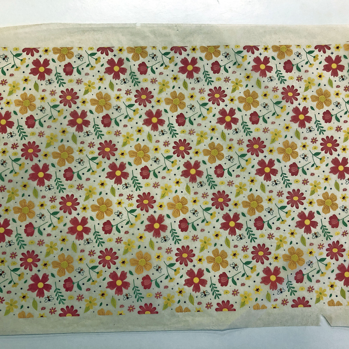 Decalque de underglaze (s24) 1