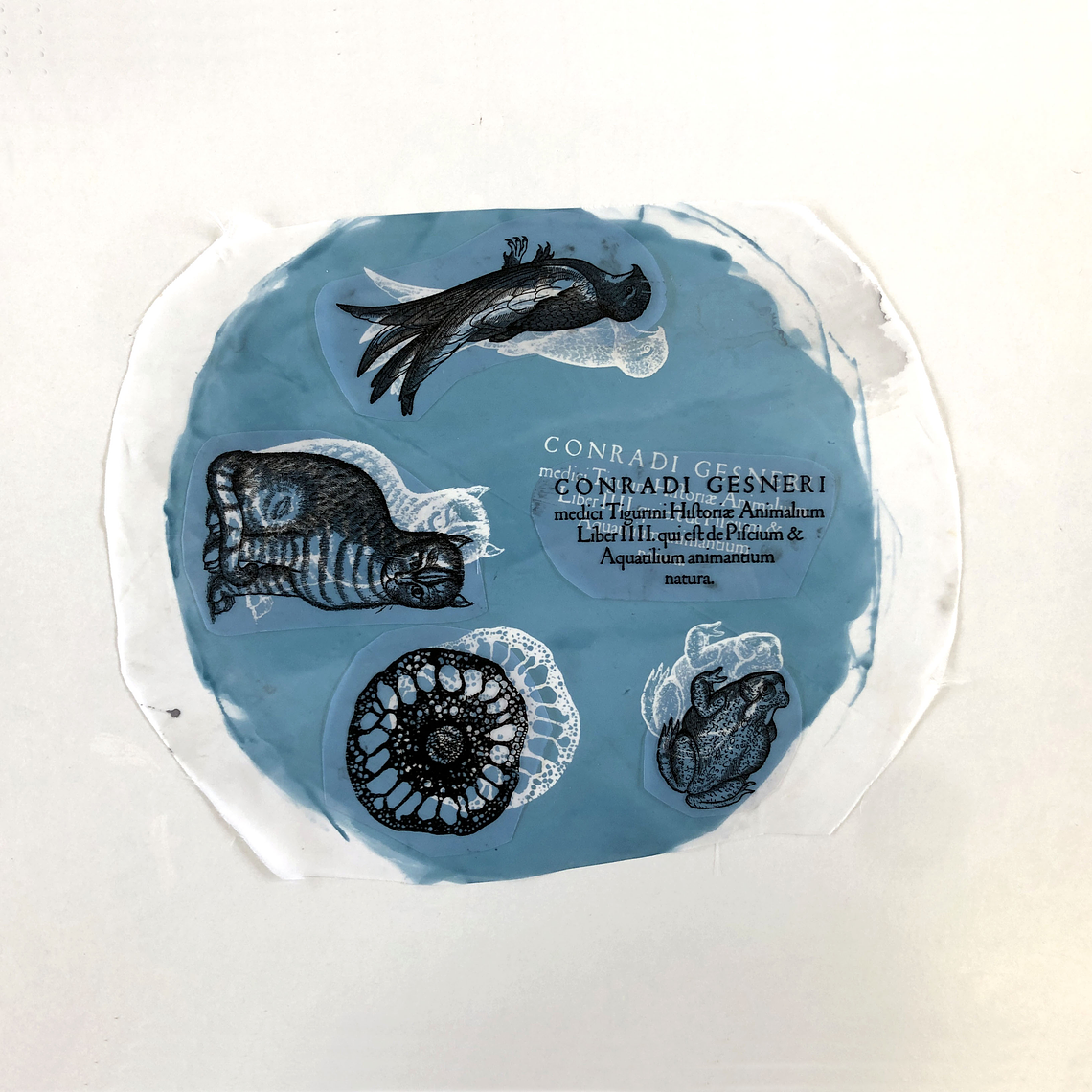 Malha de serigrafia personalizada 6