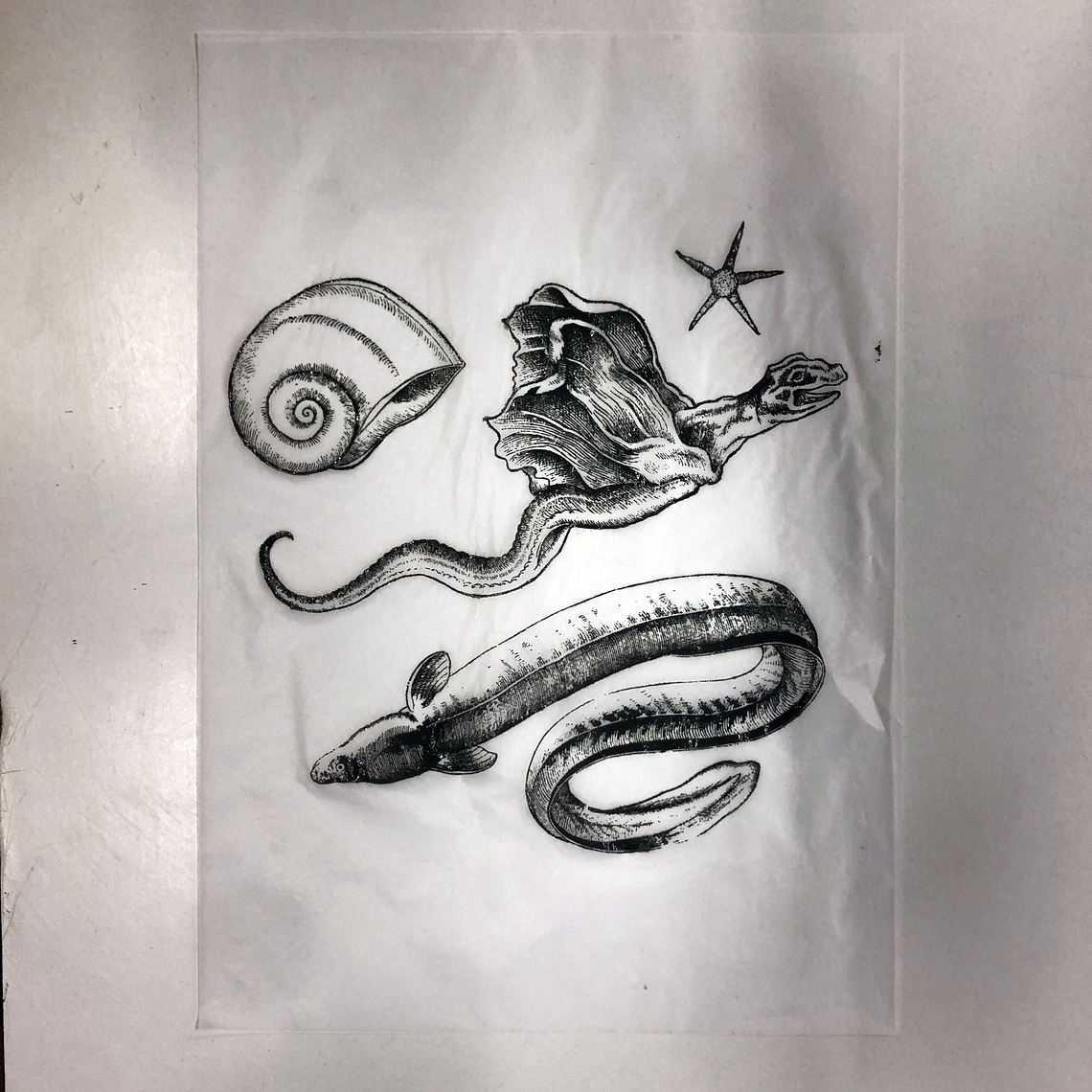 Decalque de underglaze (a20) 2