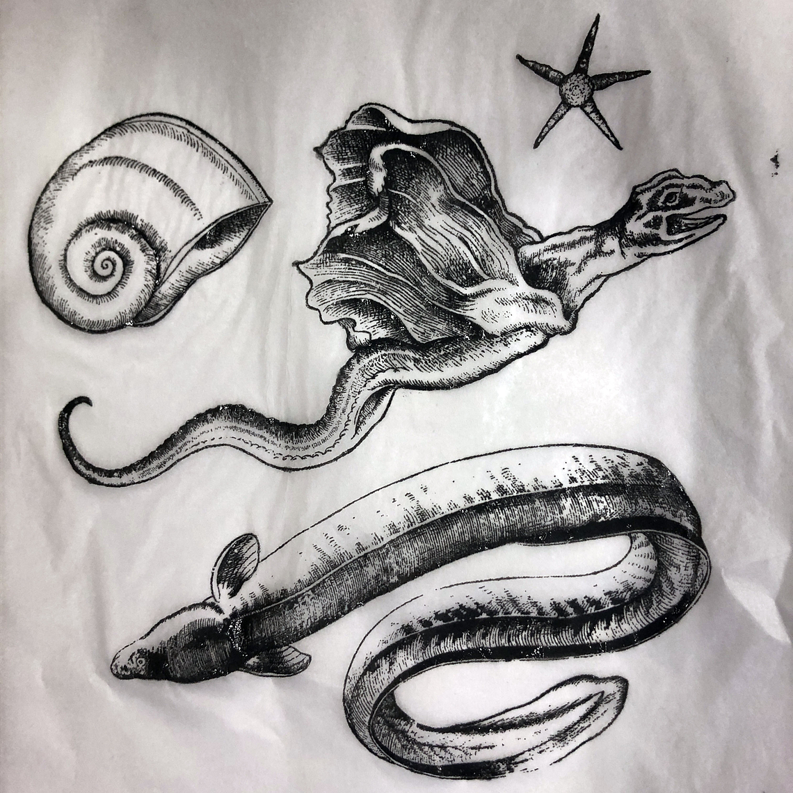 Decalque de underglaze (a20) 1