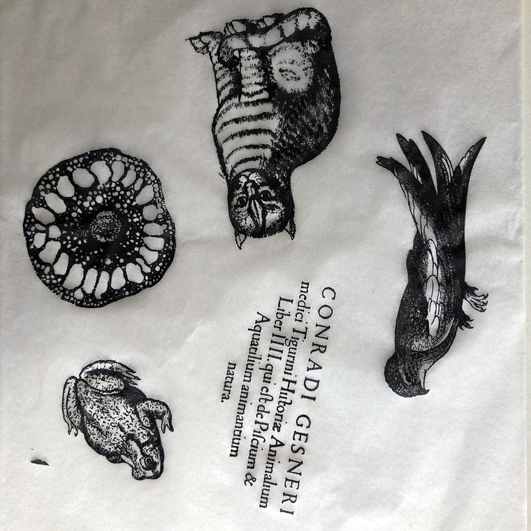 Decalque de underglaze (a22) 1