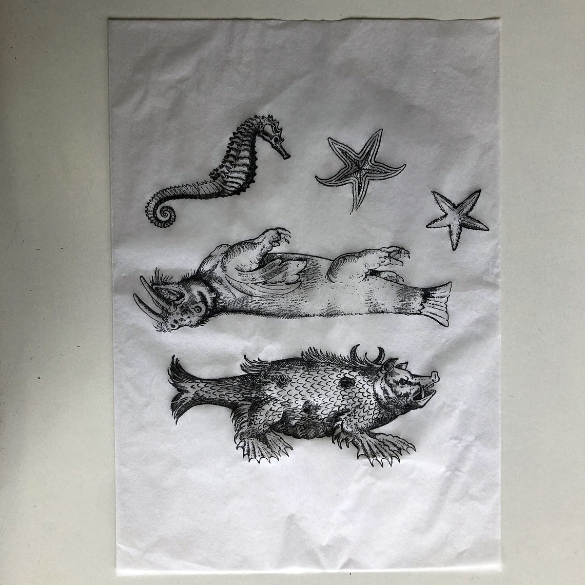 Decalque de underglaze (a23) 2