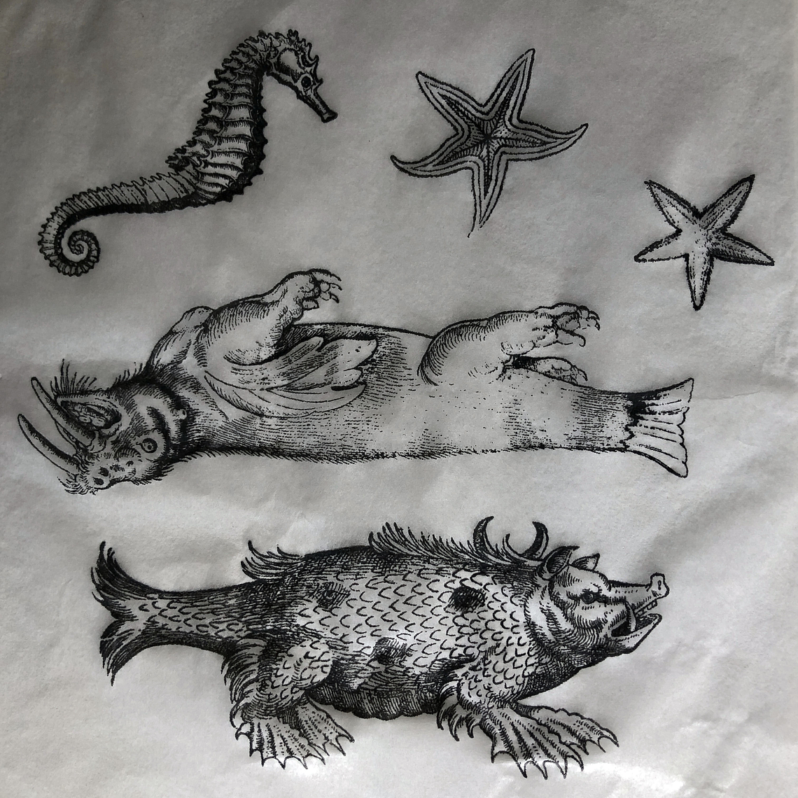 Decalque de underglaze (a23) 1