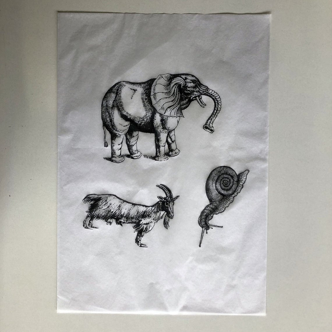 Decalque de underglaze (a25) 2