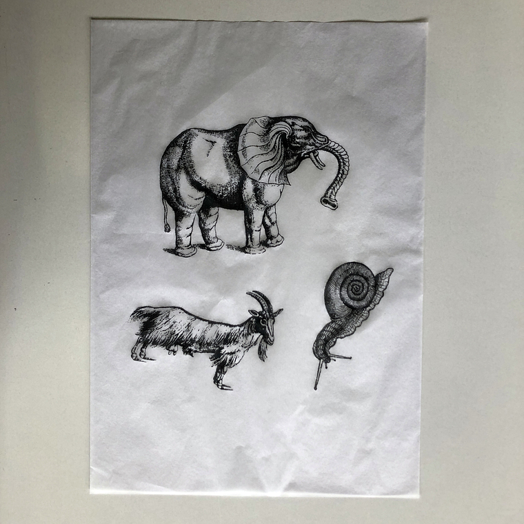 Decalque de underglaze (a25) 2