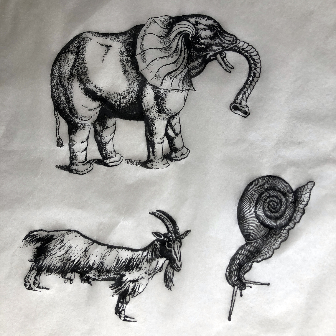 Decalque de underglaze (a25) 1