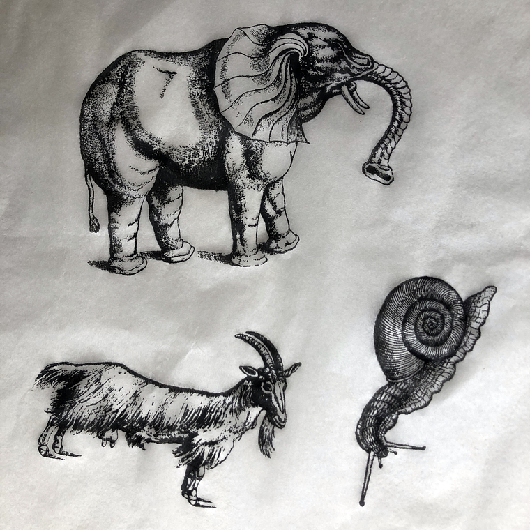 Decalque de underglaze (a25) 1