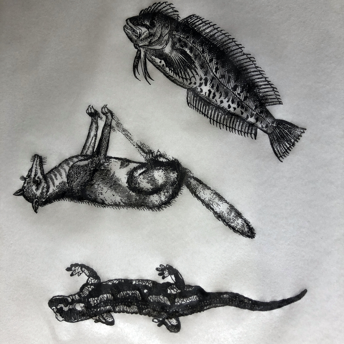 Decalque de underglaze (a26) 1