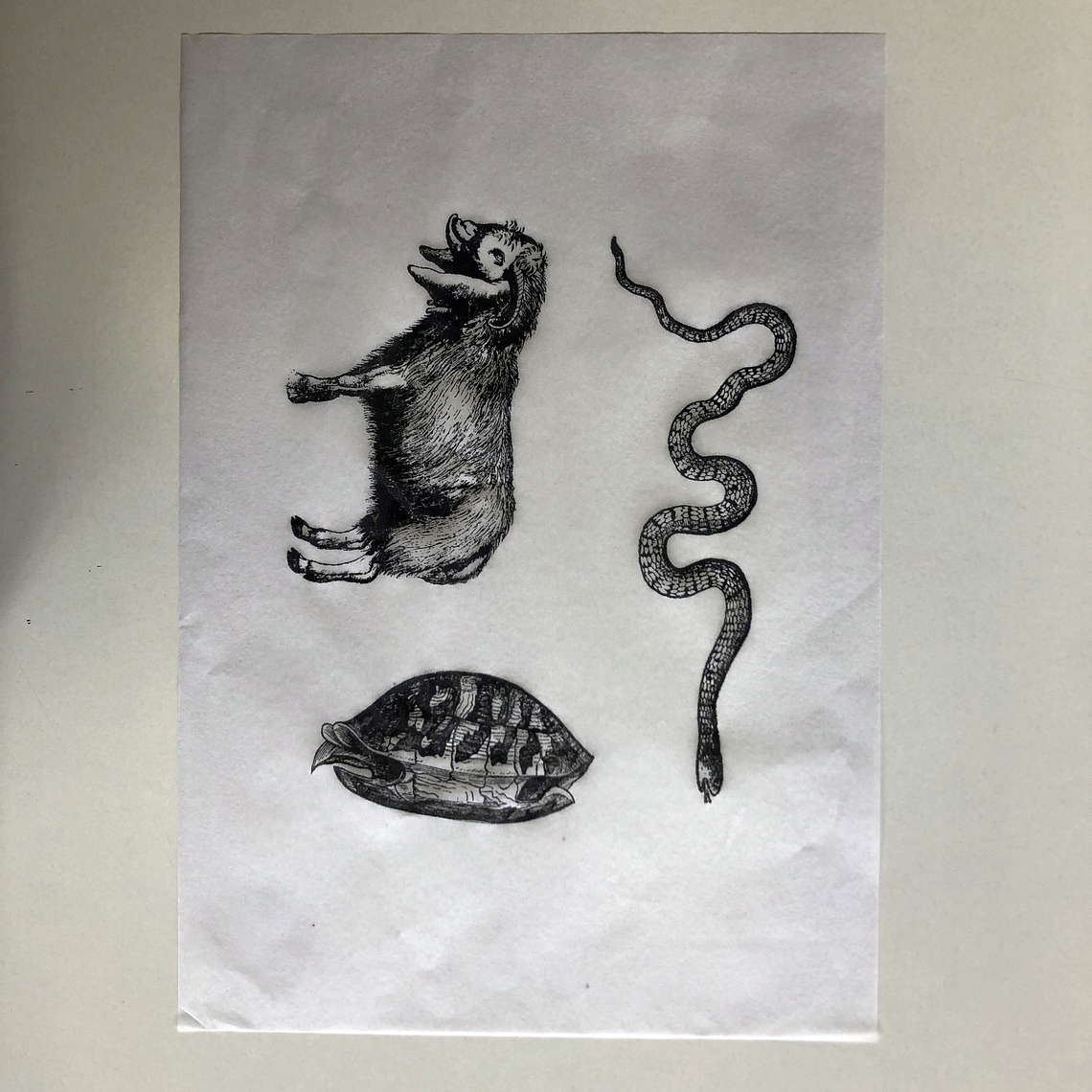 Decalque de underglaze (a28) 2