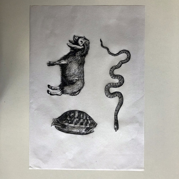 Decalque de underglaze (a28) 2