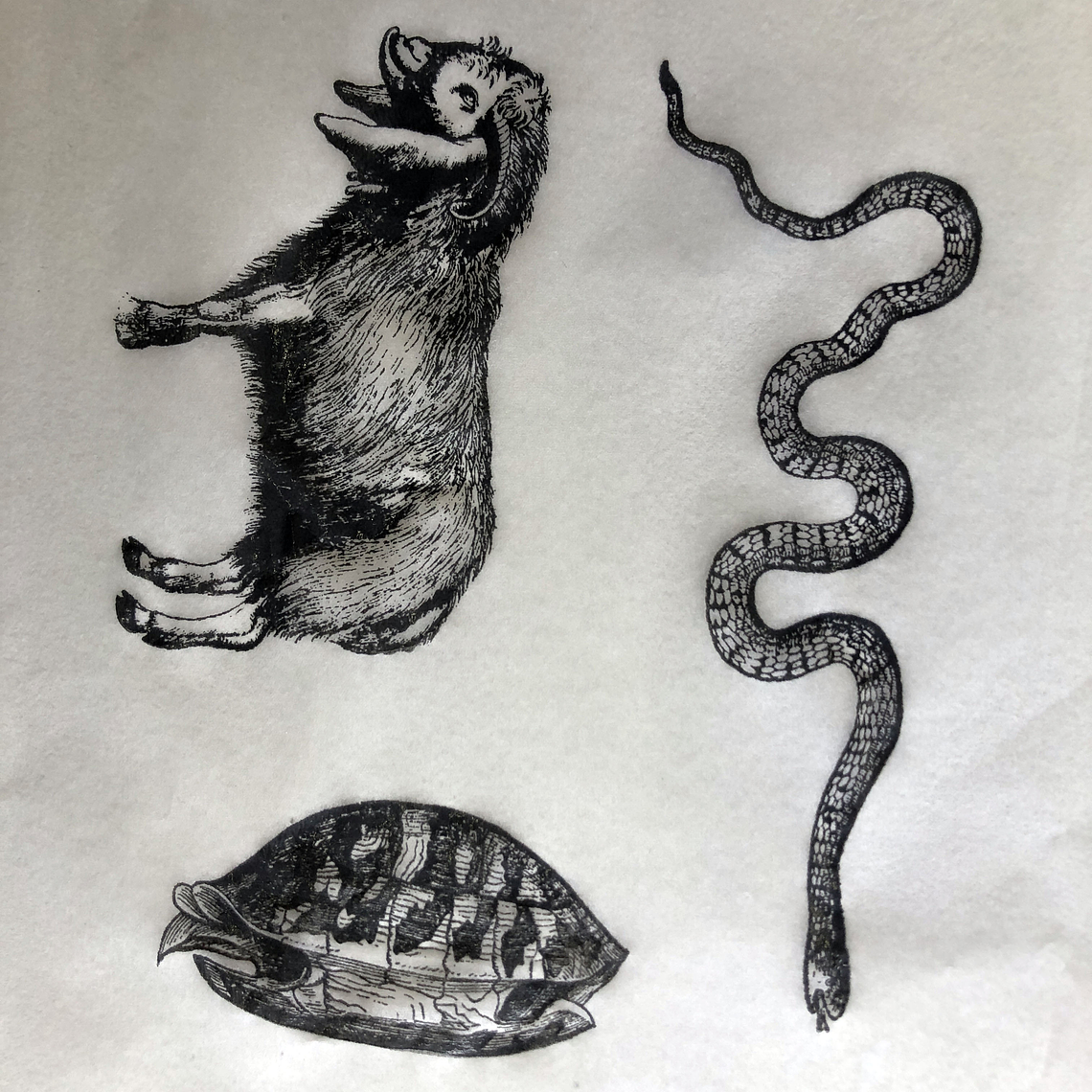 Decalque de underglaze (a28) 1