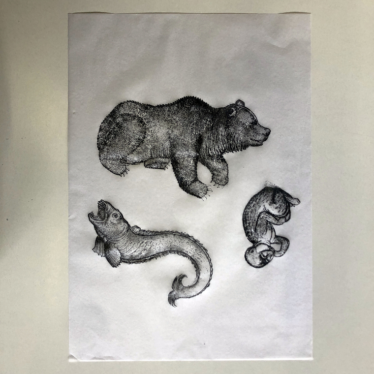 Decalque de underglaze (a29) 2