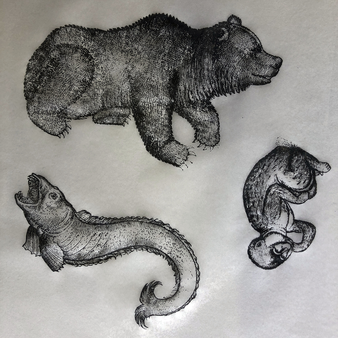 Decalque de underglaze (a29) 1