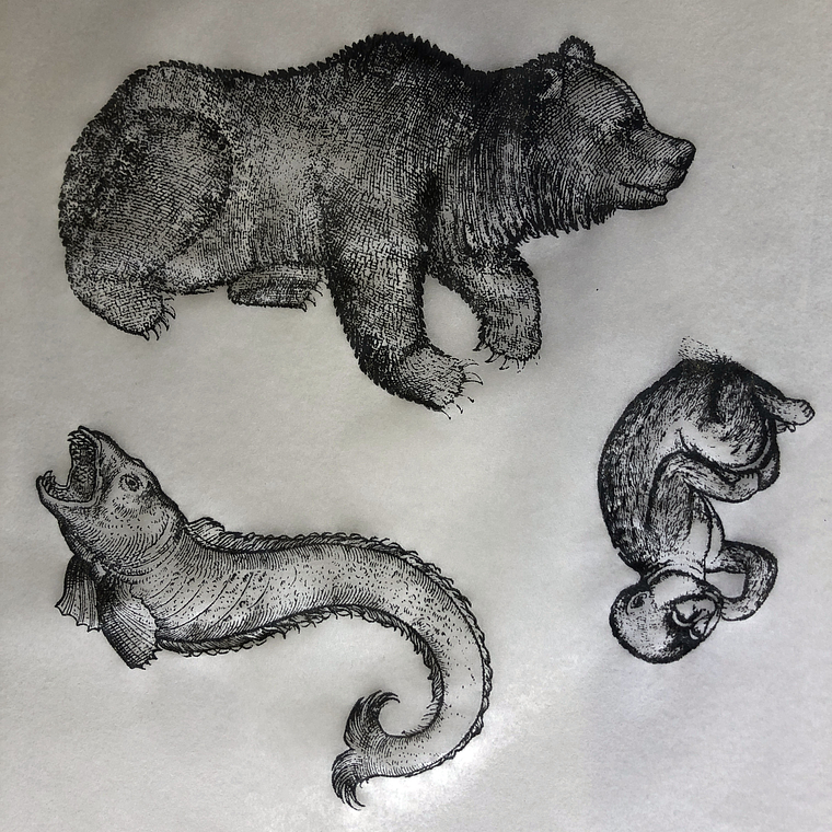 Decalque de underglaze (a29) 1