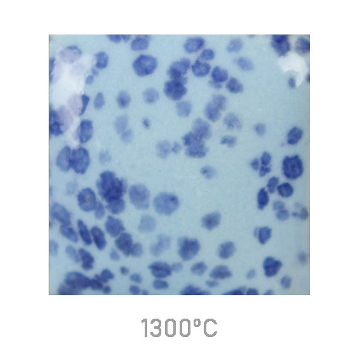 SC-245 SPECKLED My Blue Heaven 59 ml 3