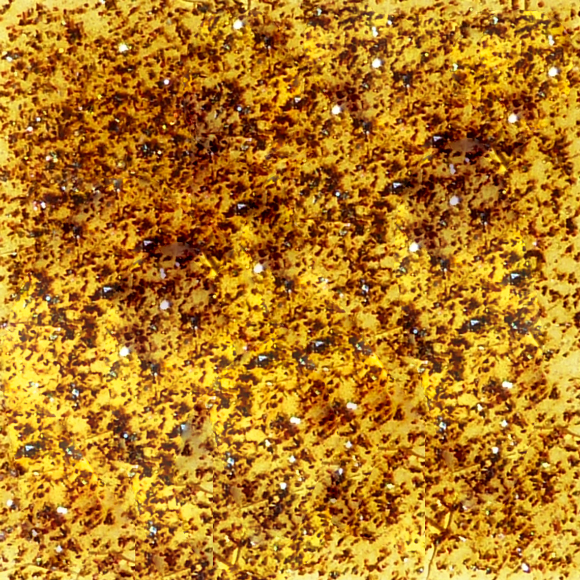 Fairy Dust 104 - Midas Gold 236 ml 2