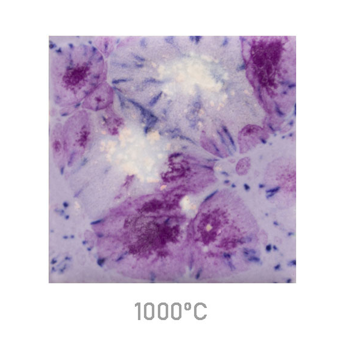 Jungle Gems 1006 - Purple Reign 118 ml 1