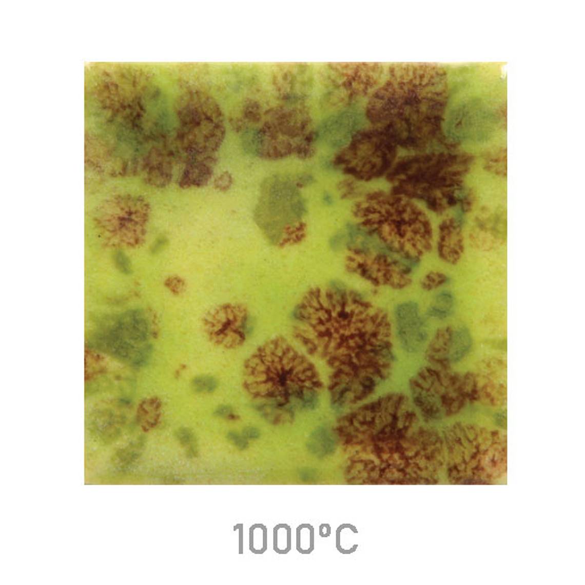 Jungle Gems 717 - Pistachio 118 ml 1