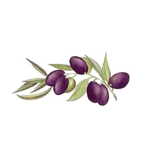 Decalque Bailen 2b 5cm