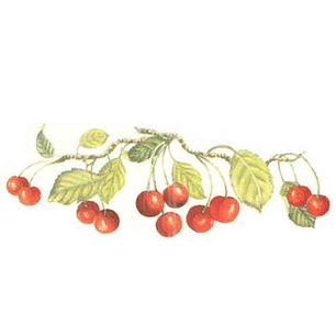 Decalque Cerises 2c 4cm