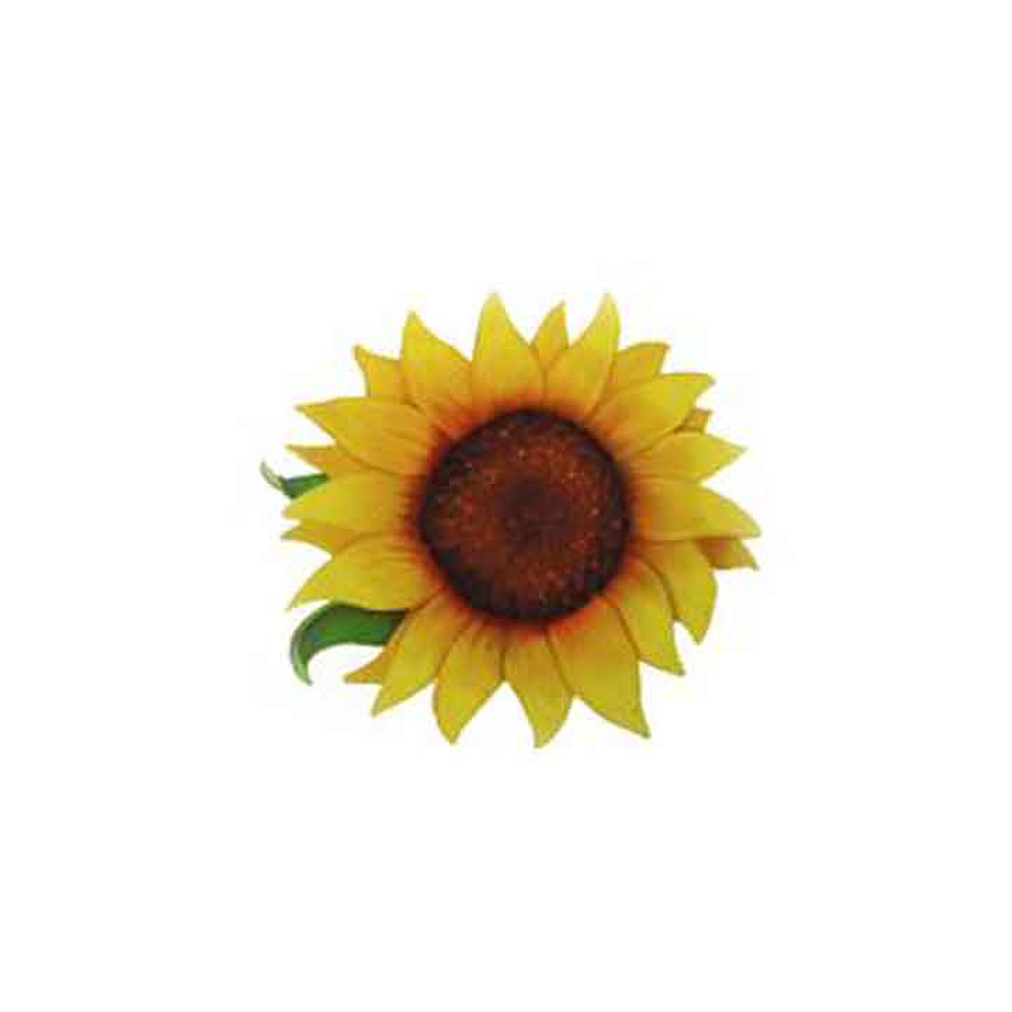 Decalque Girasoles 1c 2,5cm 1