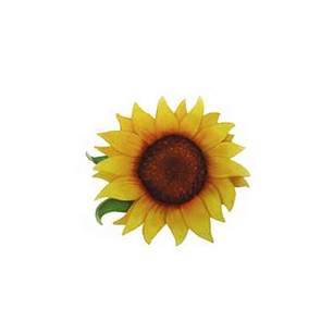 Decalque Girasoles 1c 2,5cm