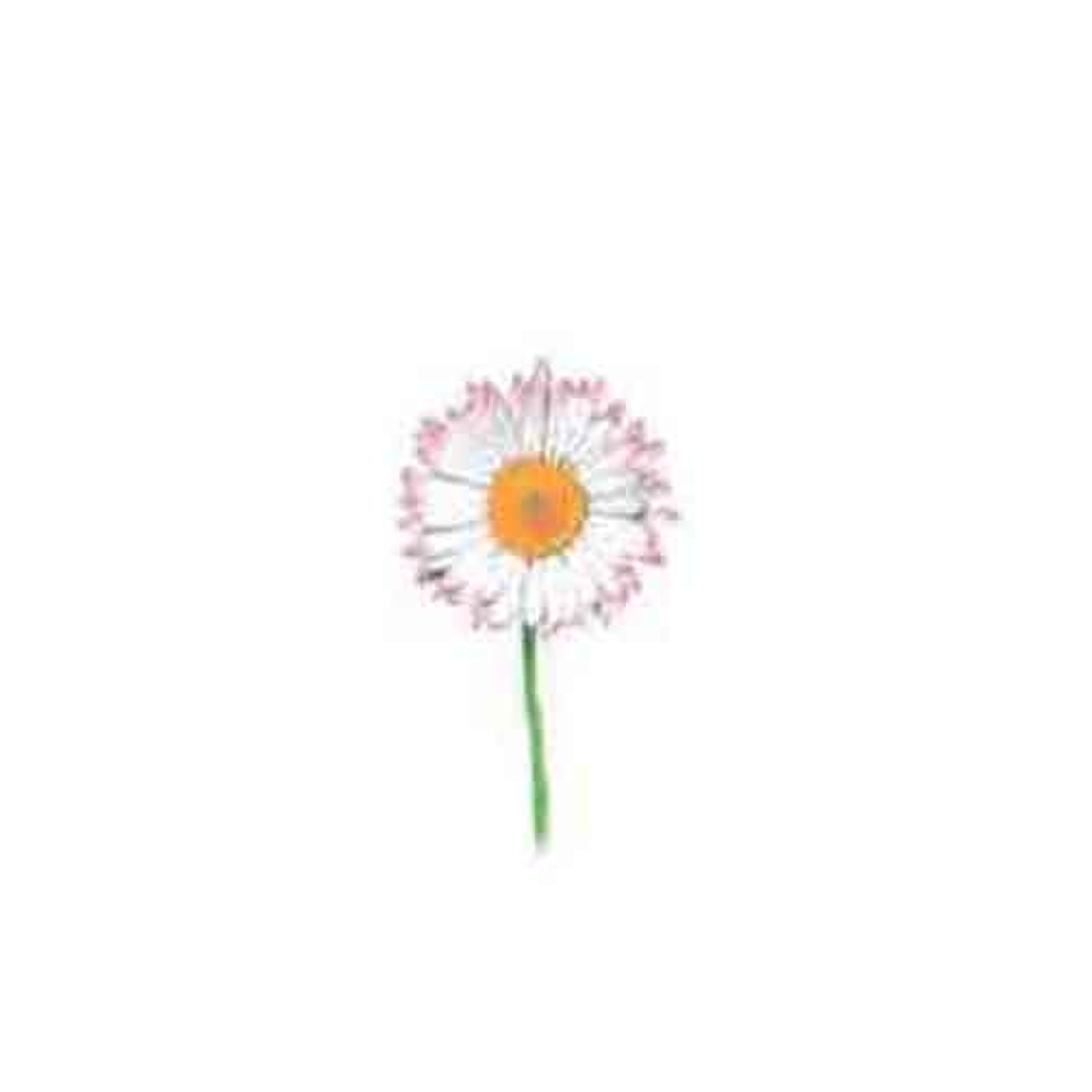 Decalque Margaret 1b 3,5cm 1