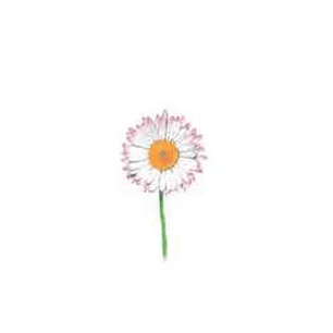 Decalque Margaret 1b 3,5cm