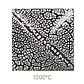Cobblestone White 118 ml - Thumbnail 1
