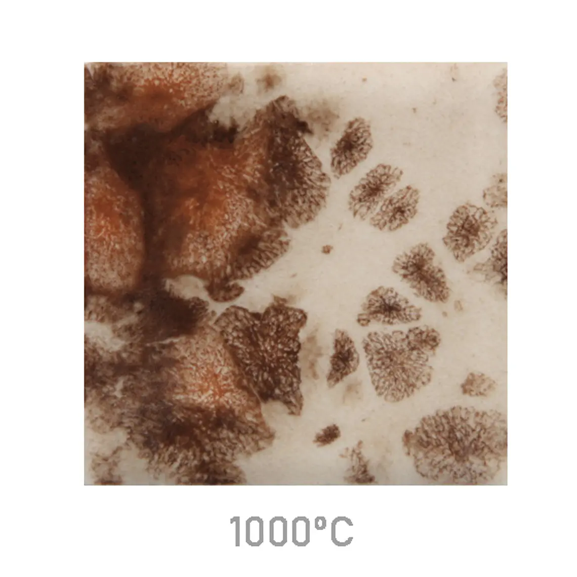 Jungle Gems 795 - Yadro Print 118 ml 1