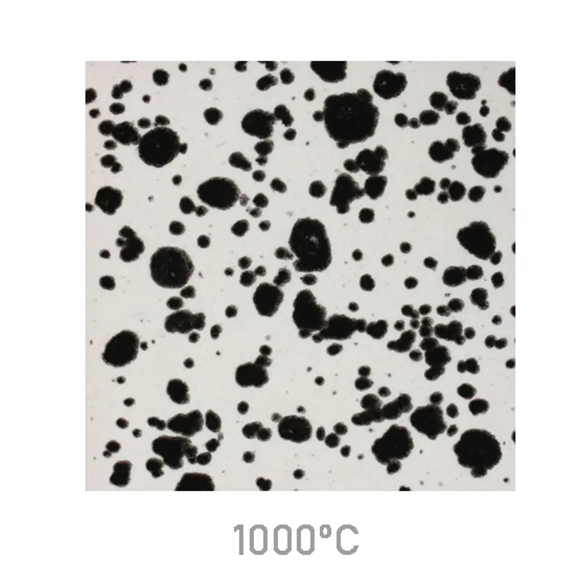 Jungle Gems 977 - Ink Spots 118 ml 1