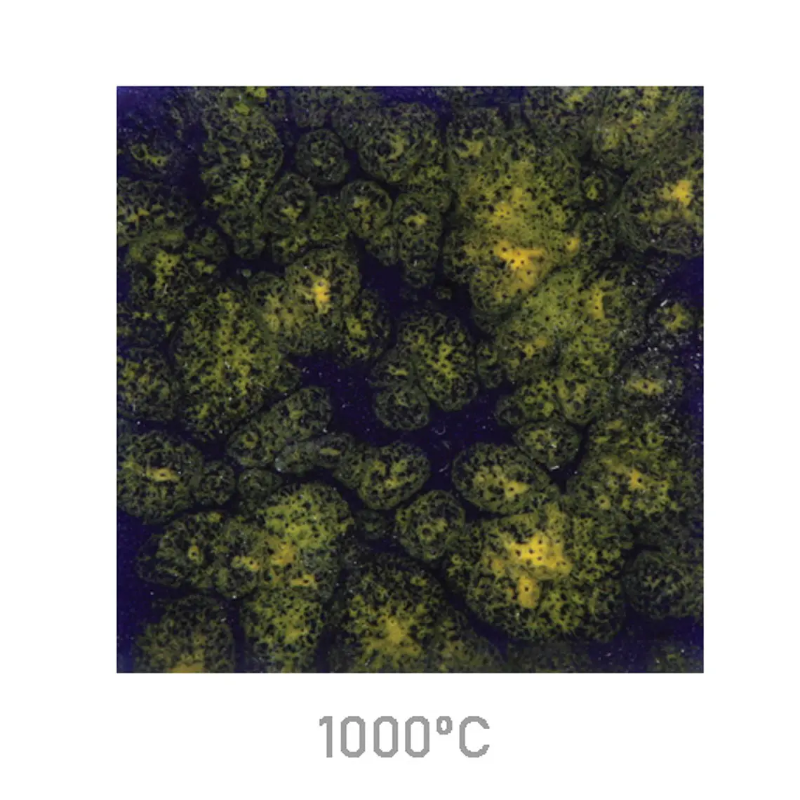 Jungle Gems 990 - Starry Night 118 ml 1