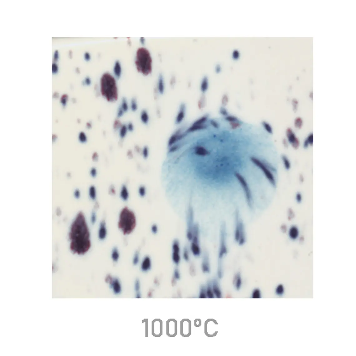 Jungle Gems 2701 - Peacock Eyes 118 ml 1