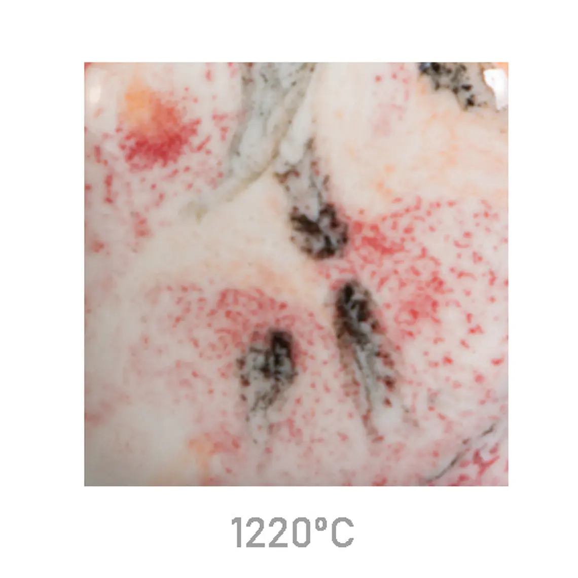 Jungle Gems 2727 - Poppy Fields 118 ml 2