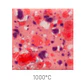 Jungle Gems 1004 - Berry Tart 118 ml - Thumbnail 1