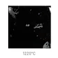 Jungle Gems 798 - Black Iris 118 ml - thumbnail 2
