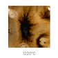 Jungle Gems 2708 - Oriental Carmel 118 ml - Thumbnail 2