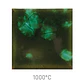 Jungle Gems 707 - Woodland Fantasy 118 ml - Thumbnail 1
