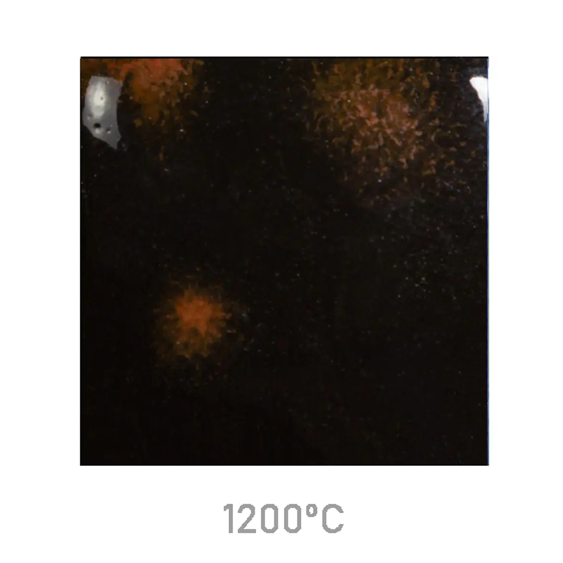 Jungle Gems 779 - Black Opal 118 ml 2