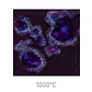 Jungle Gems 785 - Royal Fantasy 118 ml - Thumbnail 1