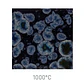 Jungle Gems 786 - Obsidian 118 ml - Thumbnail 1