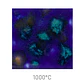 Jungle Gems 958 - Lagoon Blue 118 ml - Thumbnail 1