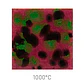 Jungle Gems 1005 - Maroon Lagoon 118 ml - Thumbnail 1