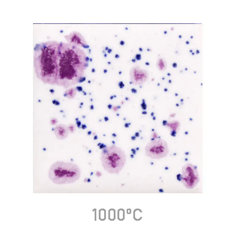 Jungle Gems 1011 - Frosted Berries 118 ml 1