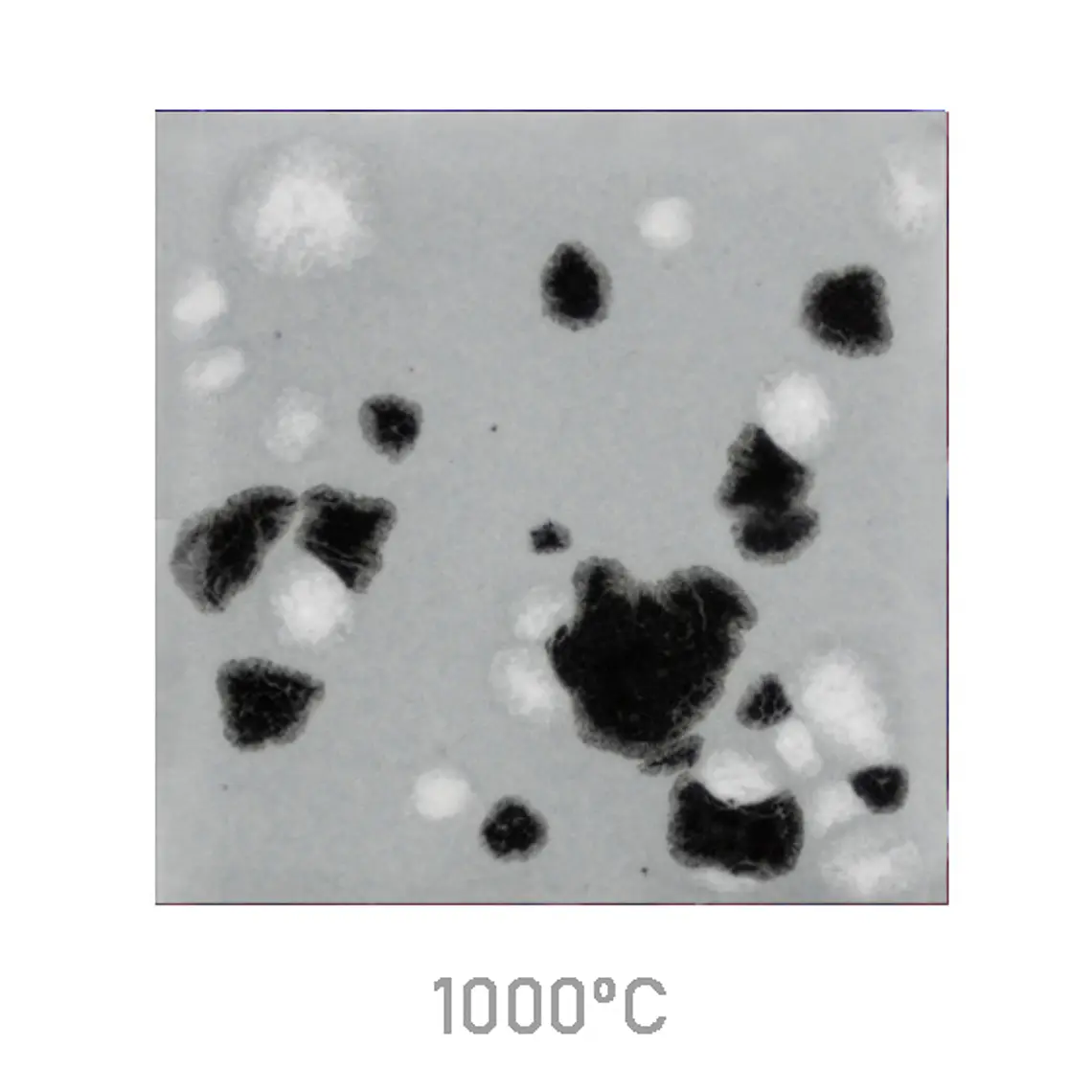 Jungle Gems 1016 - Asteroid 118 ml 1