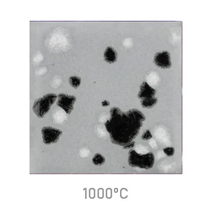 Jungle Gems 1016 - Asteroid 118 ml
