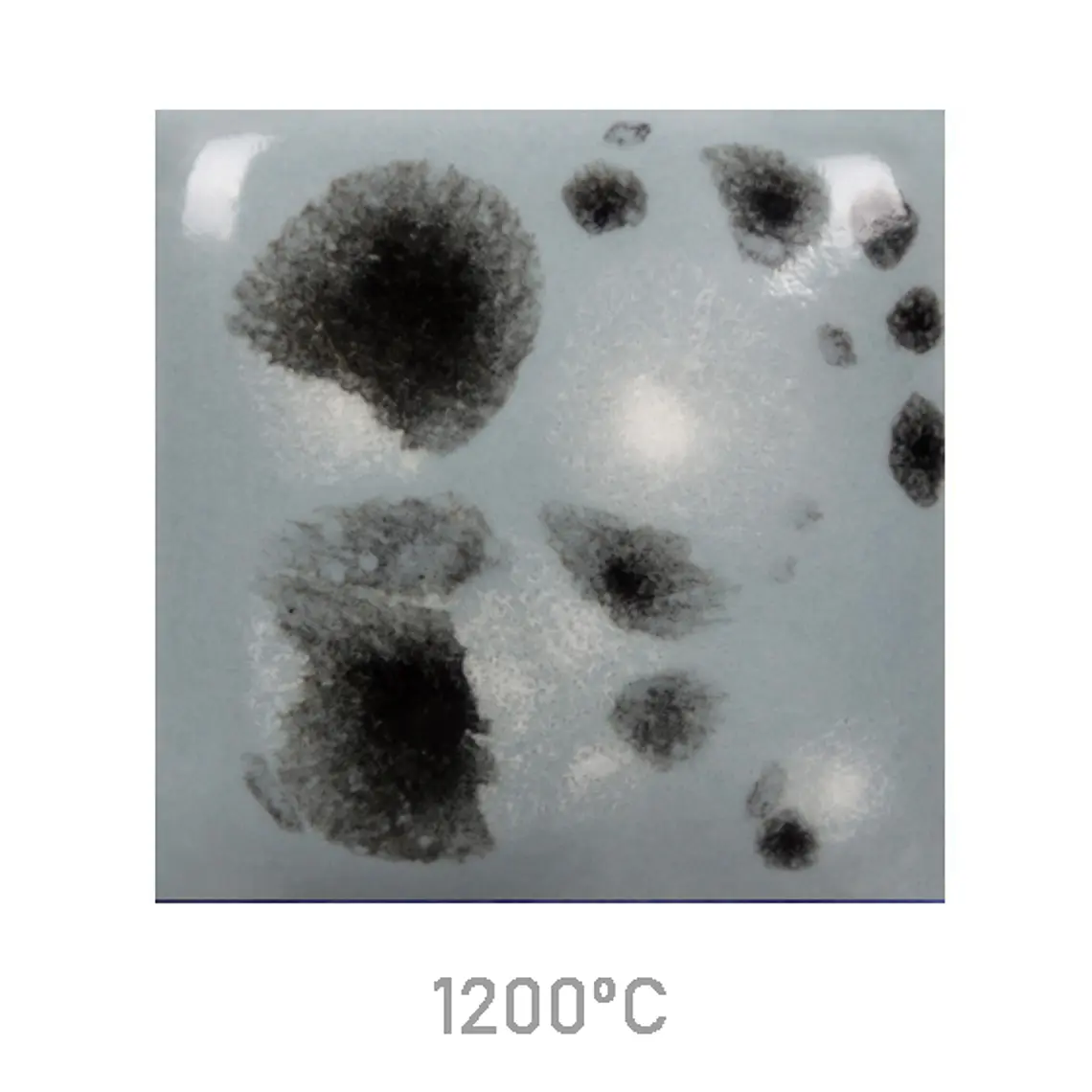 Jungle Gems 1016 - Asteroid 118 ml 2