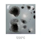 Jungle Gems 1016 - Asteroid 118 ml - Thumbnail 2