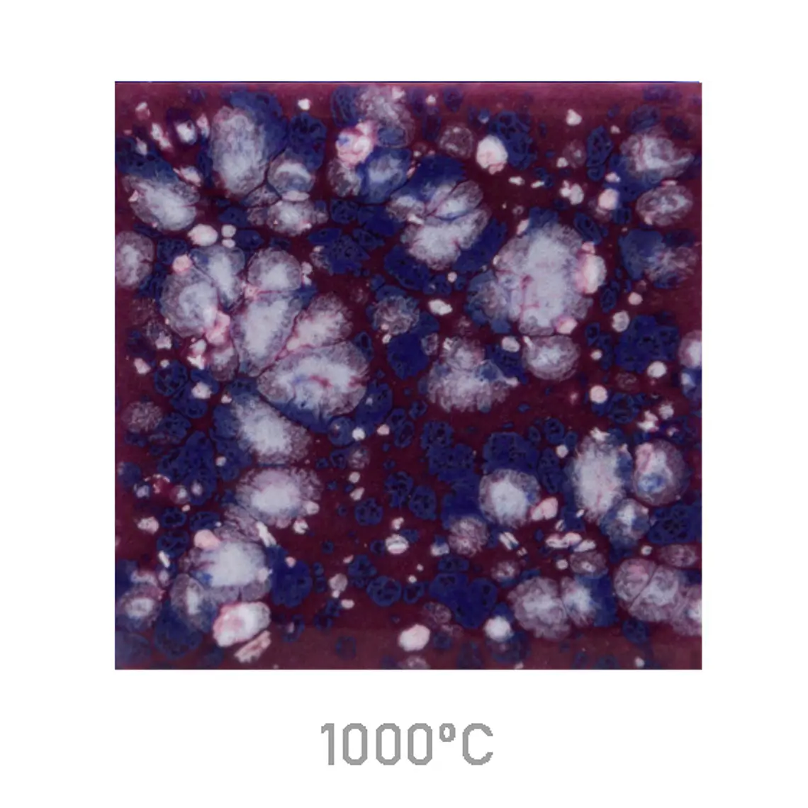 Jungle Gems 2704 - Plum Jelly 118 ml 1